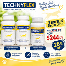 Load image into Gallery viewer, Technyflex® Canine 240 x 500mg Capsules