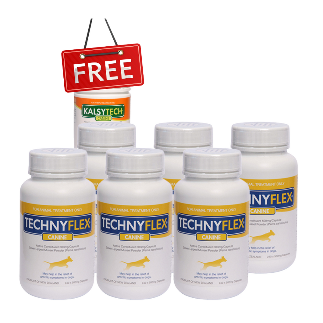 ☆SPECIAL☆ SIX PACK Technyflex® Canine 240 x 500mg Capsules + 1 FREE Kalsytech® Canine Calcium supplement 175g Powder Tub