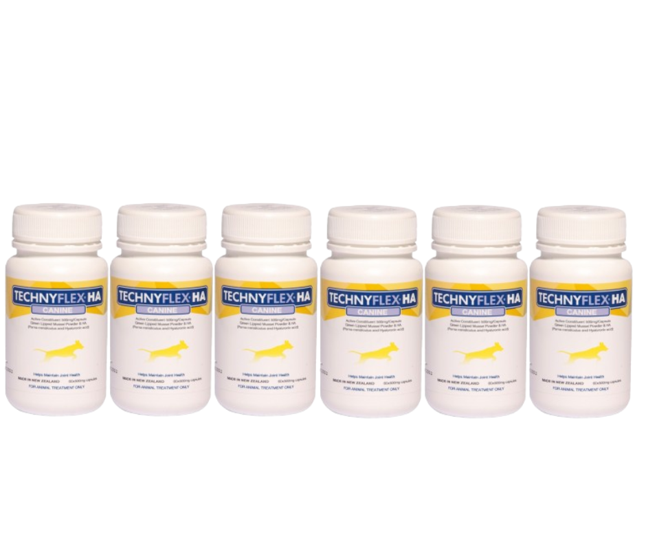 ☆SPECIAL☆ SIX PACK Technyflex® HA Canine Joint Supplement 60 x 500mg Capsules (360 Capsules) (Exp: 12/25)