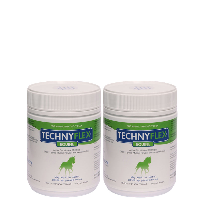 ☆SPECIAL☆ TWIN PACK Technyflex® Equine 250g powder tub